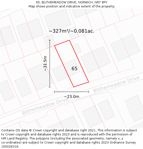 65, BLITHEMEADOW DRIVE, NORWICH, NR7 8PY: Plot and title map