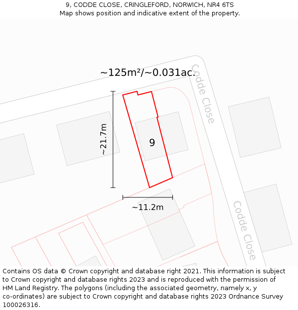 9, CODDE CLOSE, CRINGLEFORD, NORWICH, NR4 6TS: Plot and title map