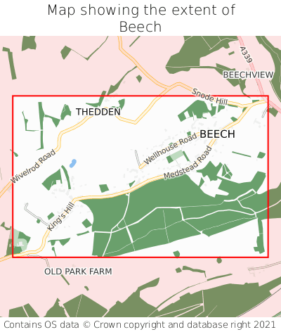 Map showing extent of Beech as bounding box