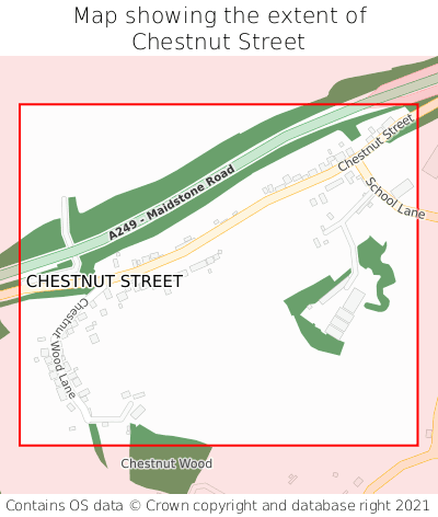 Map showing extent of Chestnut Street as bounding box