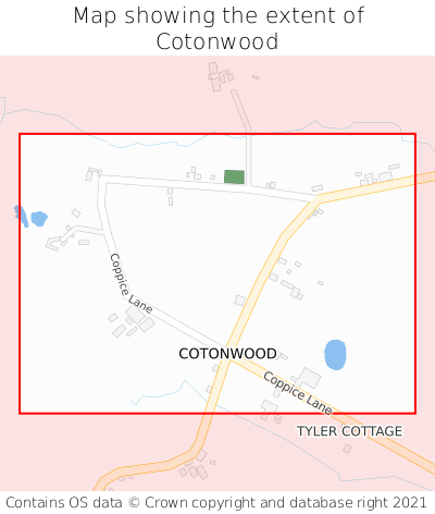 Map showing extent of Cotonwood as bounding box