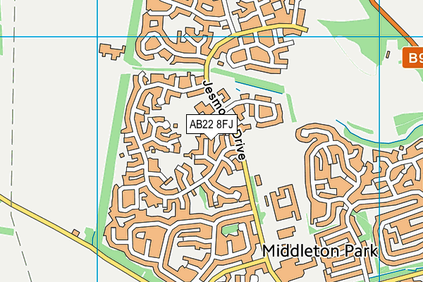 AB22 8FJ map - OS VectorMap District (Ordnance Survey) AB22 8FJ map - OS VectorMap District (Ordnance Survey)