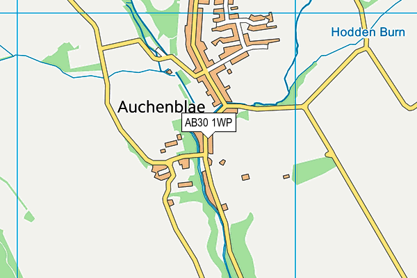 AB30 1WP map - OS VectorMap District (Ordnance Survey) AB30 1WP map - OS VectorMap District (Ordnance Survey)