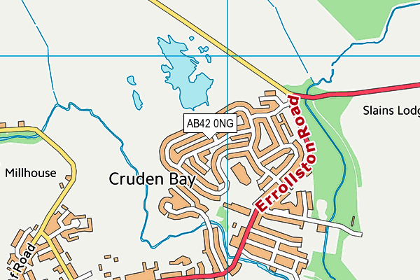 AB42 0NG map - OS VectorMap District (Ordnance Survey) AB42 0NG map - OS VectorMap District (Ordnance Survey)