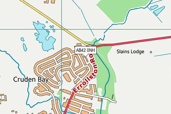 AB42 0NH map - OS VectorMap District (Ordnance Survey) AB42 0NH map - OS VectorMap District (Ordnance Survey)
