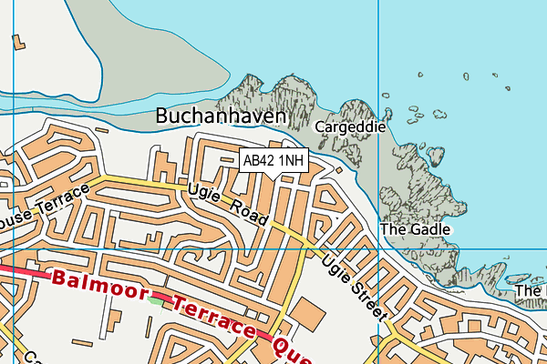 AB42 1NH map - OS VectorMap District (Ordnance Survey) AB42 1NH map - OS VectorMap District (Ordnance Survey)