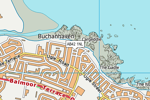 AB42 1NL map - OS VectorMap District (Ordnance Survey) AB42 1NL map - OS VectorMap District (Ordnance Survey)