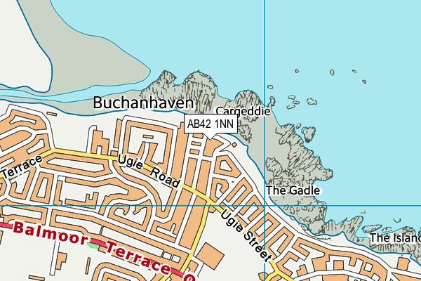 AB42 1NN map - OS VectorMap District (Ordnance Survey)