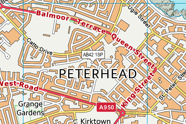 AB42 1SP map - OS VectorMap District (Ordnance Survey)