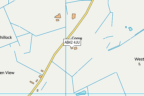 AB42 4JU map - OS VectorMap District (Ordnance Survey)