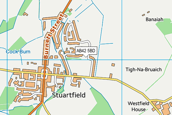 AB42 5BD map - OS VectorMap District (Ordnance Survey) AB42 5BD map - OS VectorMap District (Ordnance Survey)