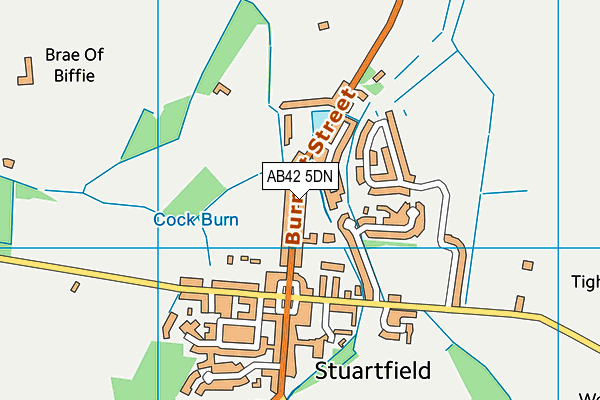 AB42 5DN map - OS VectorMap District (Ordnance Survey) AB42 5DN map - OS VectorMap District (Ordnance Survey)