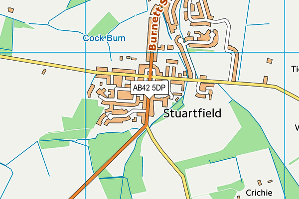 AB42 5DP map - OS VectorMap District (Ordnance Survey)