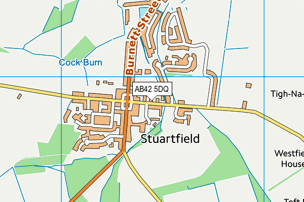 AB42 5DQ map - OS VectorMap District (Ordnance Survey) AB42 5DQ map - OS VectorMap District (Ordnance Survey)