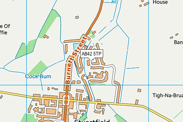 AB42 5TP map - OS VectorMap District (Ordnance Survey) AB42 5TP map - OS VectorMap District (Ordnance Survey)
