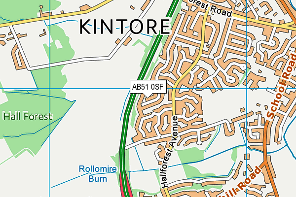 AB51 0SF map - OS VectorMap District (Ordnance Survey)