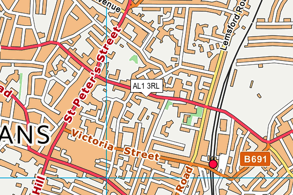 AL1 3RL map - OS VectorMap District (Ordnance Survey)