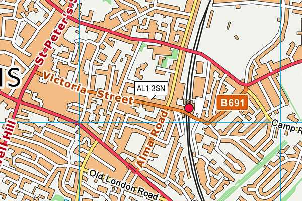 AL1 3SN map - OS VectorMap District (Ordnance Survey) AL1 3SN map - OS VectorMap District (Ordnance Survey)