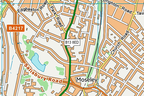 B13 8ED map - OS VectorMap District (Ordnance Survey) B13 8ED map - OS VectorMap District (Ordnance Survey)