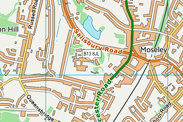 B13 8JL map - OS VectorMap District (Ordnance Survey) B13 8JL map - OS VectorMap District (Ordnance Survey)