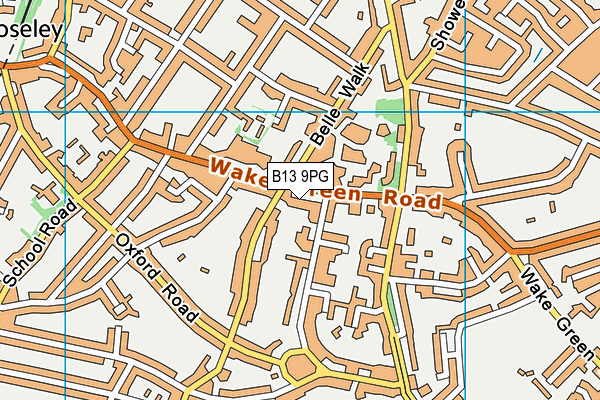 B13 9PG map - OS VectorMap District (Ordnance Survey) B13 9PG map - OS VectorMap District (Ordnance Survey)