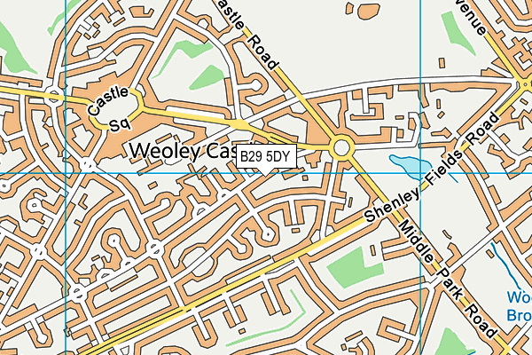 B29 5DY map - OS VectorMap District (Ordnance Survey) B29 5DY map - OS VectorMap District (Ordnance Survey)