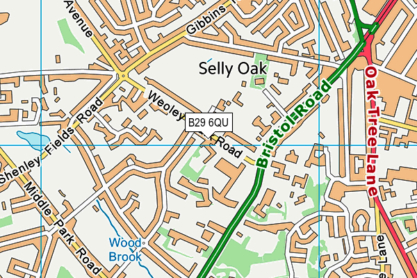 B29 6QU map - OS VectorMap District (Ordnance Survey) B29 6QU map - OS VectorMap District (Ordnance Survey)