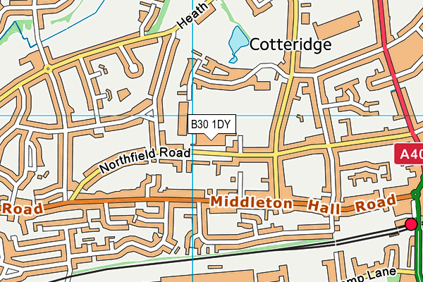 B30 1DY map - OS VectorMap District (Ordnance Survey) B30 1DY map - OS VectorMap District (Ordnance Survey)