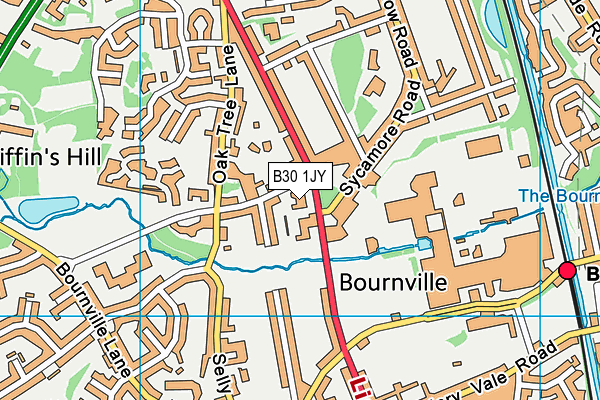 B30 1JY map - OS VectorMap District (Ordnance Survey) B30 1JY map - OS VectorMap District (Ordnance Survey)