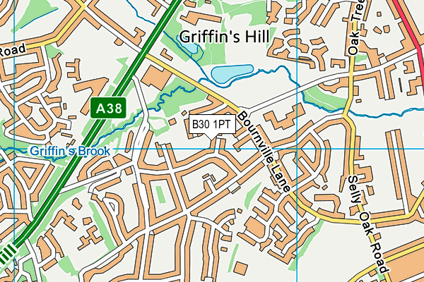 B30 1PT map - OS VectorMap District (Ordnance Survey) B30 1PT map - OS VectorMap District (Ordnance Survey)