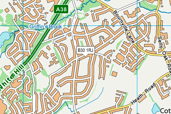 B30 1RJ map - OS VectorMap District (Ordnance Survey) B30 1RJ map - OS VectorMap District (Ordnance Survey)