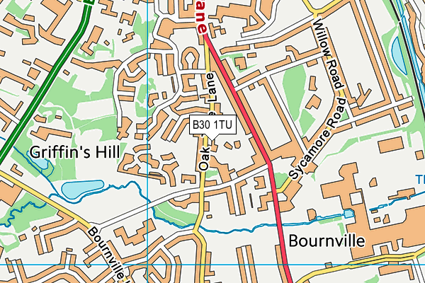 B30 1TU map - OS VectorMap District (Ordnance Survey) B30 1TU map - OS VectorMap District (Ordnance Survey)