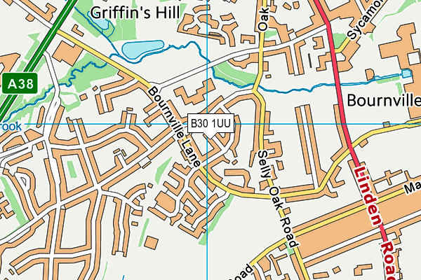 B30 1UU map - OS VectorMap District (Ordnance Survey) B30 1UU map - OS VectorMap District (Ordnance Survey)