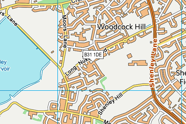 B31 1DE map - OS VectorMap District (Ordnance Survey) B31 1DE map - OS VectorMap District (Ordnance Survey)