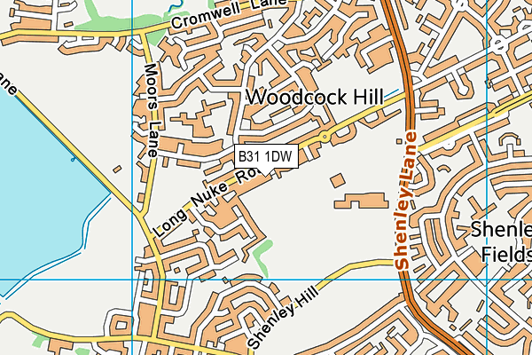 B31 1DW map - OS VectorMap District (Ordnance Survey) B31 1DW map - OS VectorMap District (Ordnance Survey)