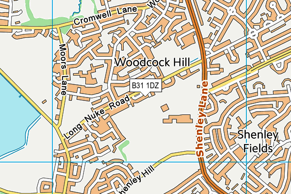 B31 1DZ map - OS VectorMap District (Ordnance Survey) B31 1DZ map - OS VectorMap District (Ordnance Survey)