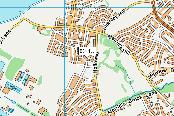 B31 1JJ map - OS VectorMap District (Ordnance Survey) B31 1JJ map - OS VectorMap District (Ordnance Survey)