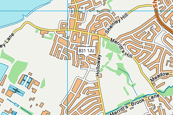 B31 1JU map - OS VectorMap District (Ordnance Survey) B31 1JU map - OS VectorMap District (Ordnance Survey)