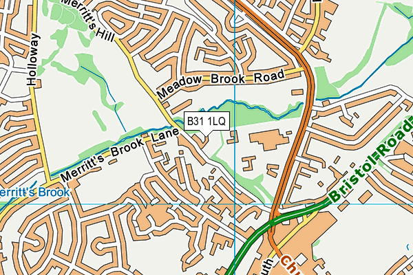 B31 1LQ map - OS VectorMap District (Ordnance Survey) B31 1LQ map - OS VectorMap District (Ordnance Survey)