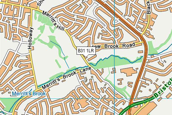 B31 1LR map - OS VectorMap District (Ordnance Survey) B31 1LR map - OS VectorMap District (Ordnance Survey)
