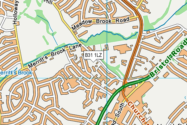 B31 1LZ map - OS VectorMap District (Ordnance Survey) B31 1LZ map - OS VectorMap District (Ordnance Survey)