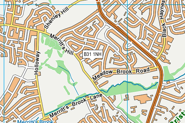 B31 1NH map - OS VectorMap District (Ordnance Survey) B31 1NH map - OS VectorMap District (Ordnance Survey)