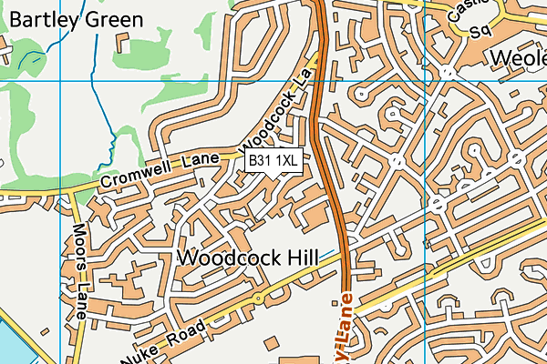 B31 1XL map - OS VectorMap District (Ordnance Survey) B31 1XL map - OS VectorMap District (Ordnance Survey)