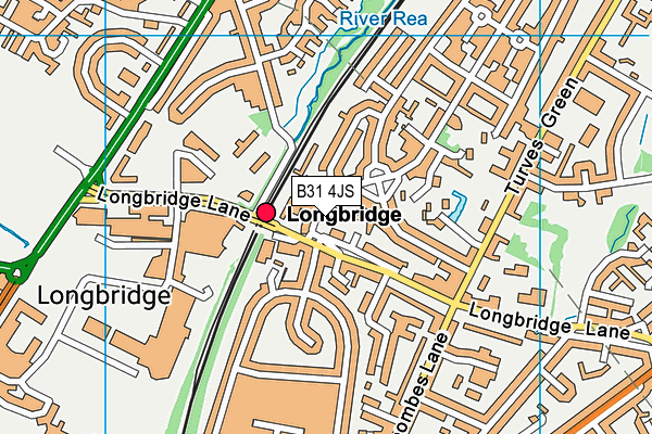 B31 4JS map - OS VectorMap District (Ordnance Survey) B31 4JS map - OS VectorMap District (Ordnance Survey)