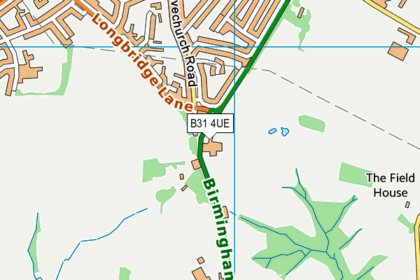 B31 4UE map - OS VectorMap District (Ordnance Survey) B31 4UE map - OS VectorMap District (Ordnance Survey)