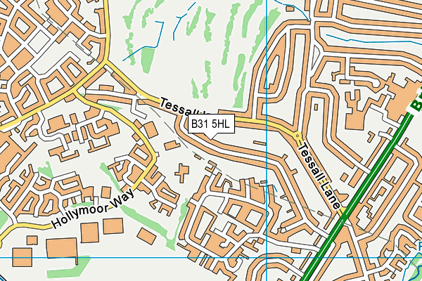 B31 5HL map - OS VectorMap District (Ordnance Survey) B31 5HL map - OS VectorMap District (Ordnance Survey)