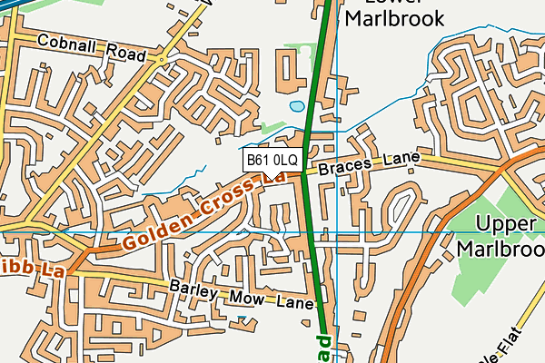 B61 0LQ map - OS VectorMap District (Ordnance Survey) B61 0LQ map - OS VectorMap District (Ordnance Survey)