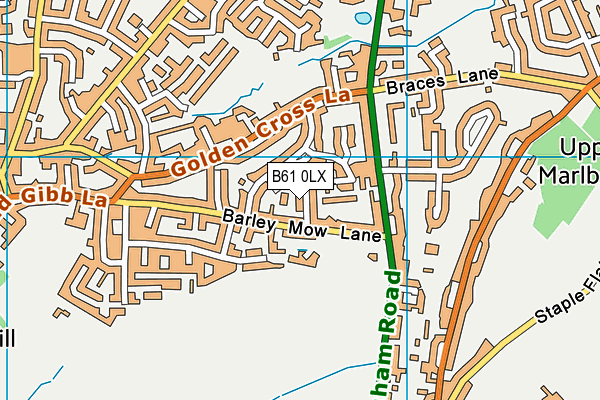 B61 0LX map - OS VectorMap District (Ordnance Survey) B61 0LX map - OS VectorMap District (Ordnance Survey)