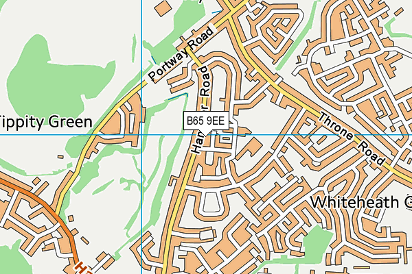 B65 9EE map - OS VectorMap District (Ordnance Survey) B65 9EE map - OS VectorMap District (Ordnance Survey)