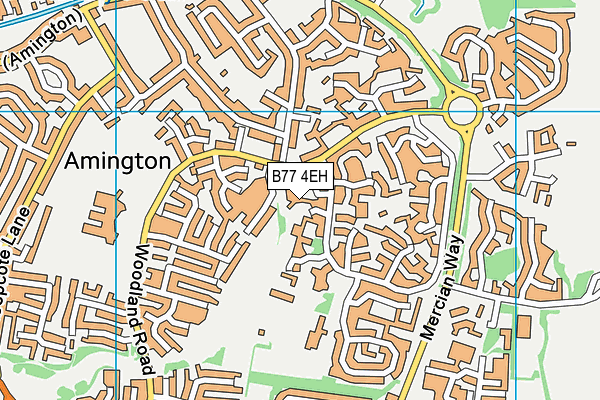 B77 4EH map - OS VectorMap District (Ordnance Survey) B77 4EH map - OS VectorMap District (Ordnance Survey)